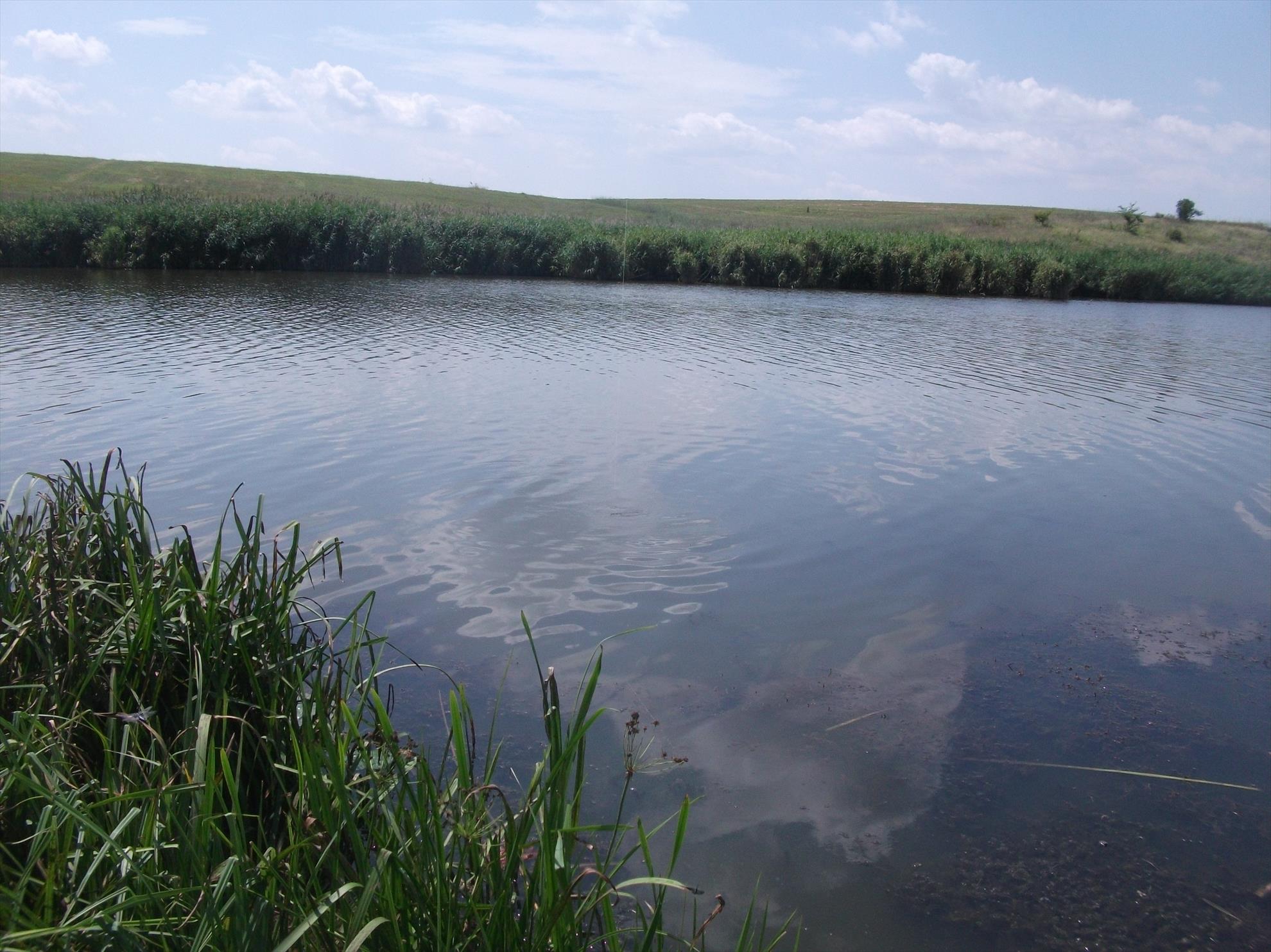 Walter 25-26.07.2013 - dscf0759.jpg
